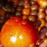A collection of the wide variety of tomatoes during the peak summer season.